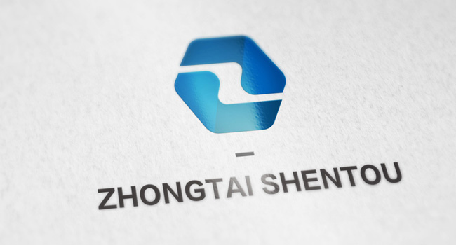 中泰盛投logo设计