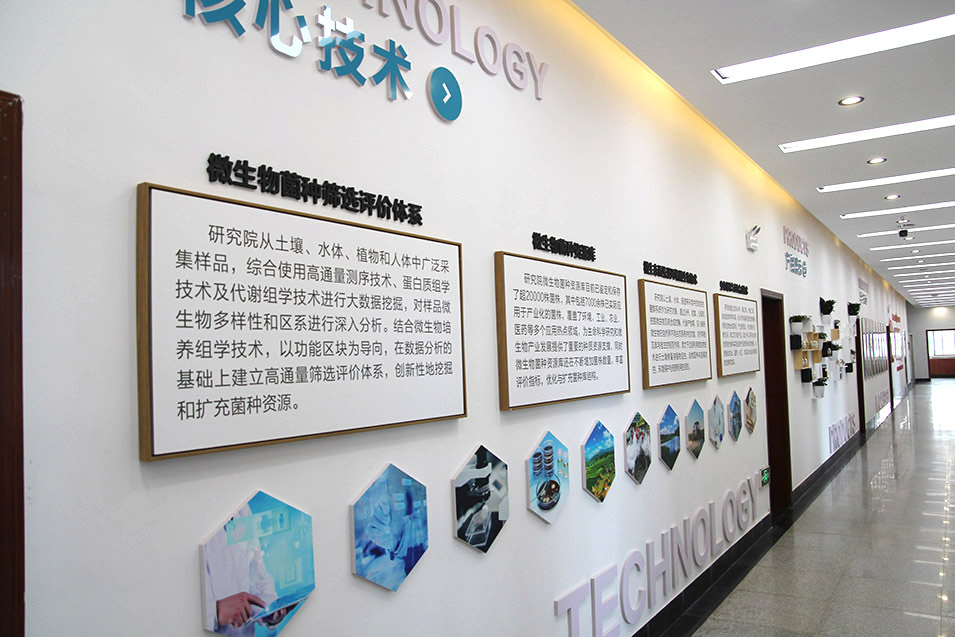 天润和企业文化走廊设计