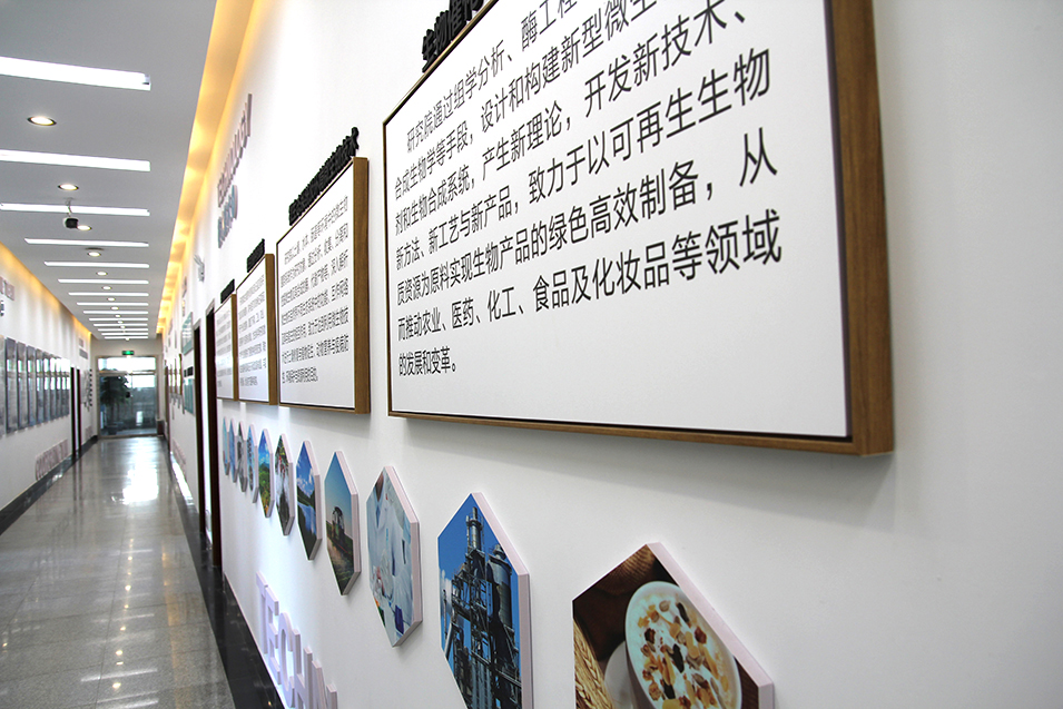 天润和企业文化走廊设计